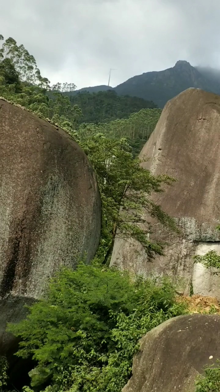 开平市大沙镇旅游景点图片