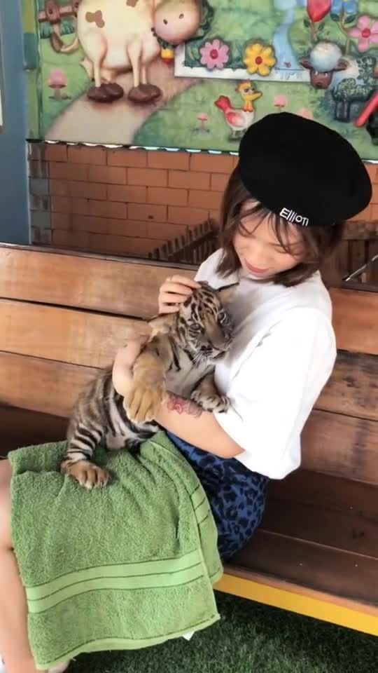 小姐姐胆子好大啊,居然抱着一只小老虎,这画面真的是太美啦