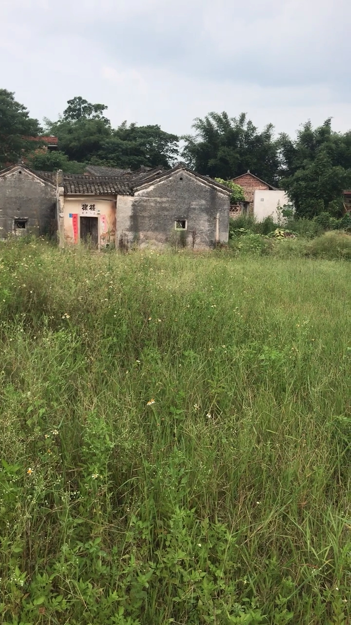 广东无人村,给你50万,你愿意住在这种地方吗?