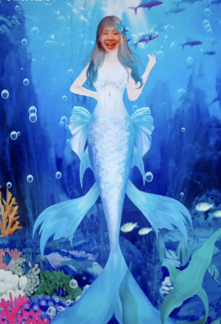 我的美人鱼好朋友