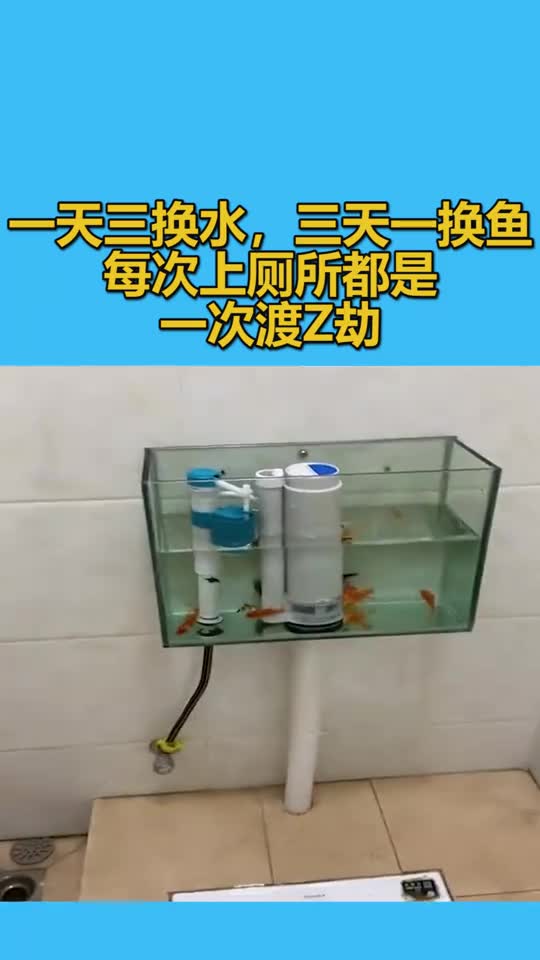 一天三换水,三天一换鱼,每次上厕所都是一次渡劫