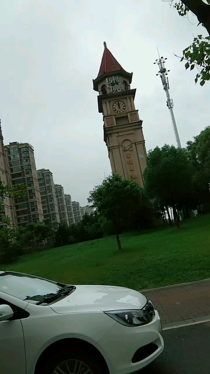 这个小区的风景真好.门楼都不跟别人一样.武汉市花山