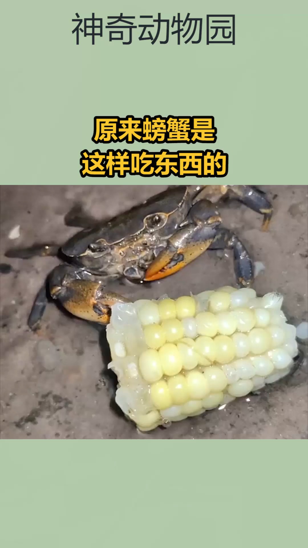 我要上热门