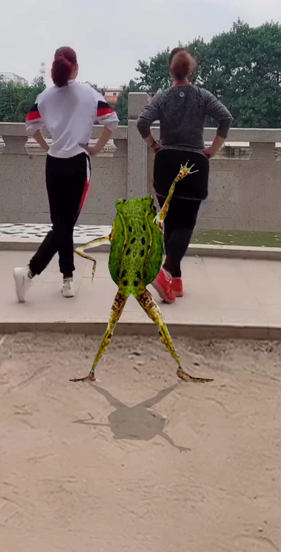 舞蹈#美女青蛙混舞,各有风采!