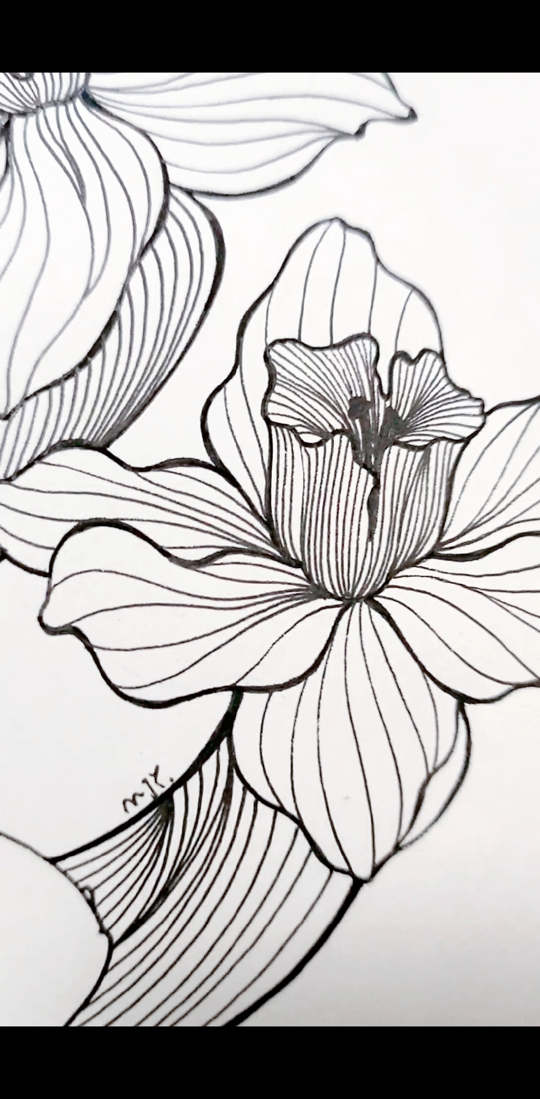 画画原来如此简单#一花一世界,有认出来这是什么花吗?