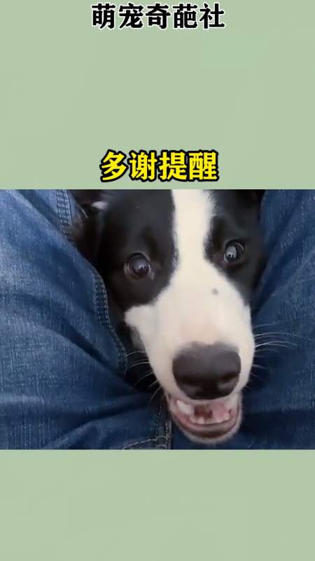 我要上热门#有些玩笑不能开,多谢提醒-度小视