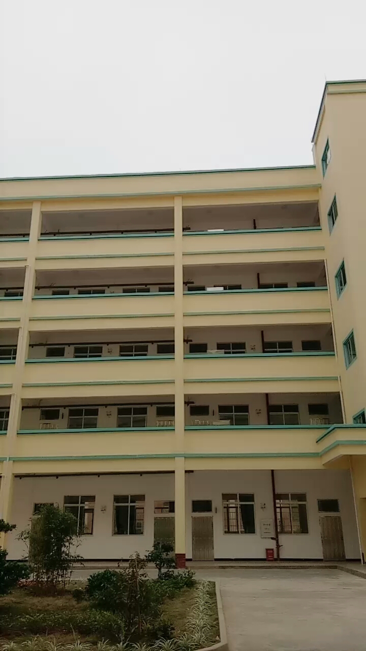 美丽的大安高中