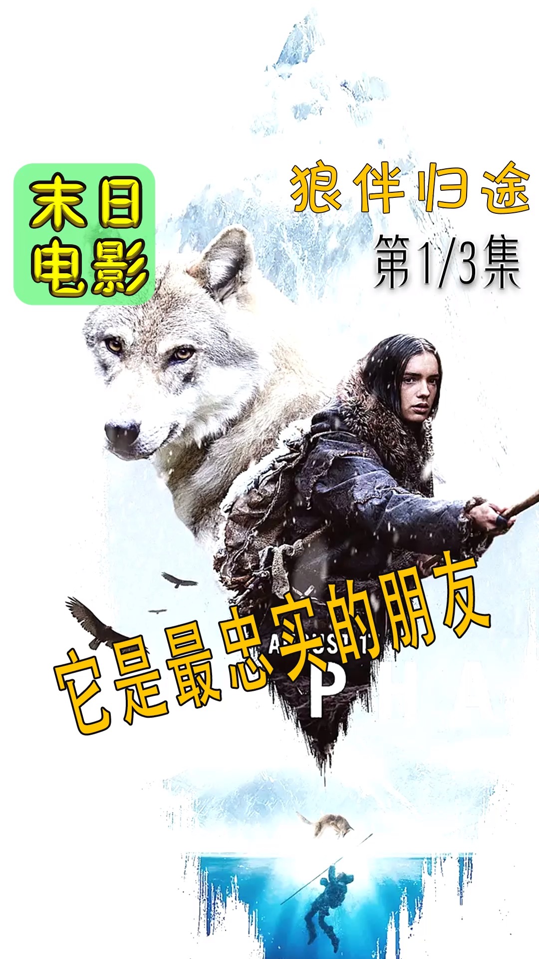 好看电影#年度视觉大片,狼王为报恩,誓死追随人类,和黑豹一较高下