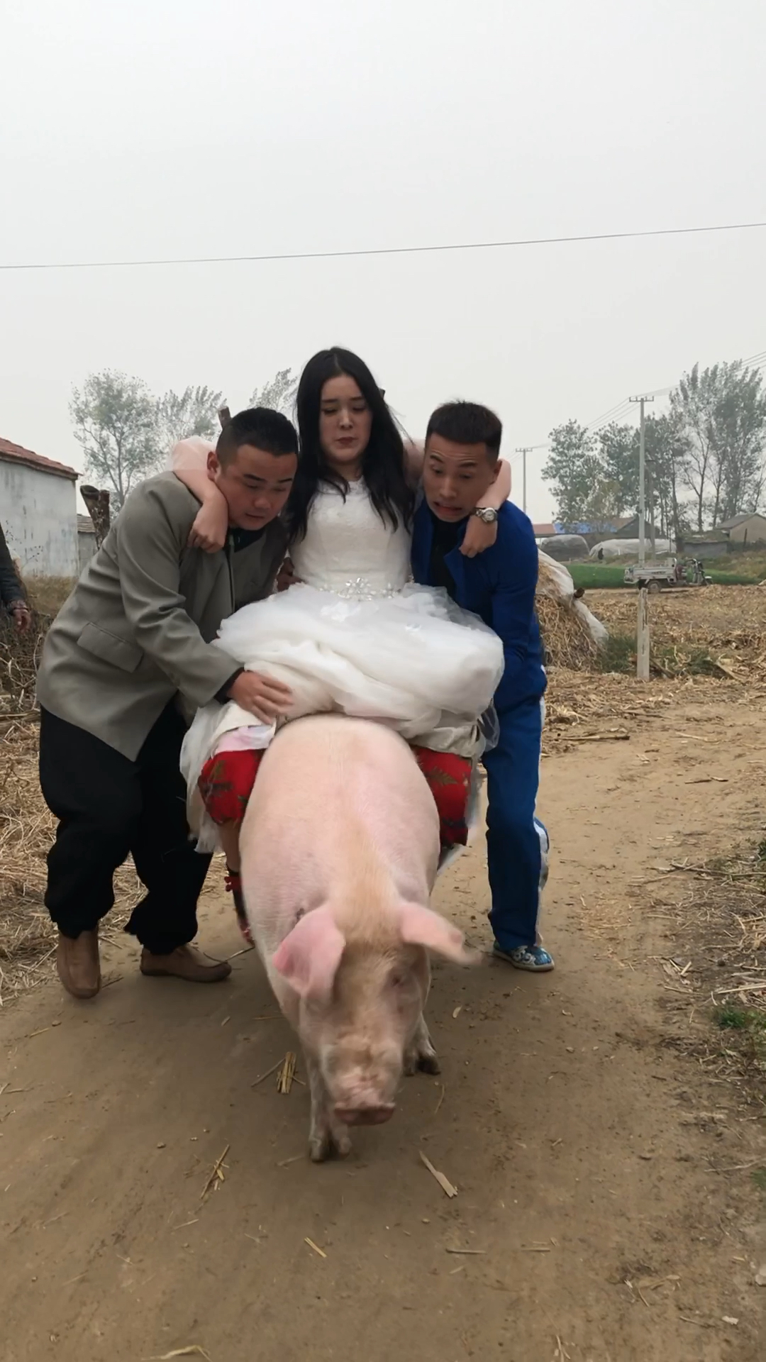 从城里娶来的媳妇非要骑猪