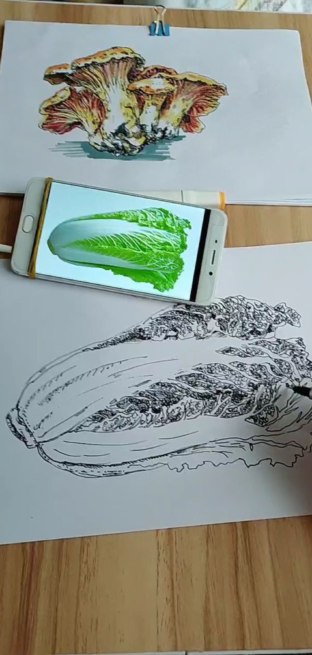 美术生#美术绘画线描写生白菜