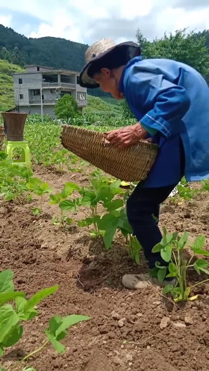 村里最老的老人103岁还天天下地干活,她说在家待着无聊,路过的你能为