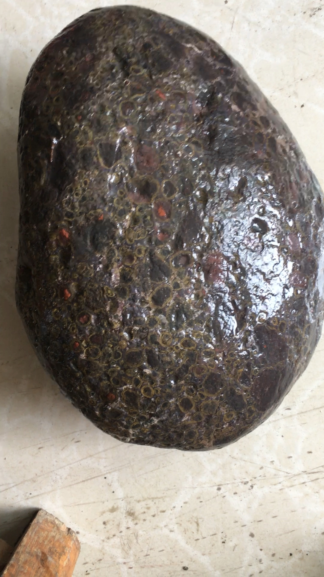 这颗五彩球粒陨石火眼金睛重12.2斤!弱磁-度小视