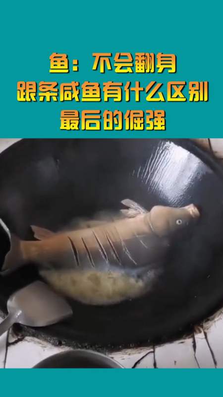 搞笑視頻#魚:不會翻身,跟條鹹魚有什麼區別,最後的倔強!