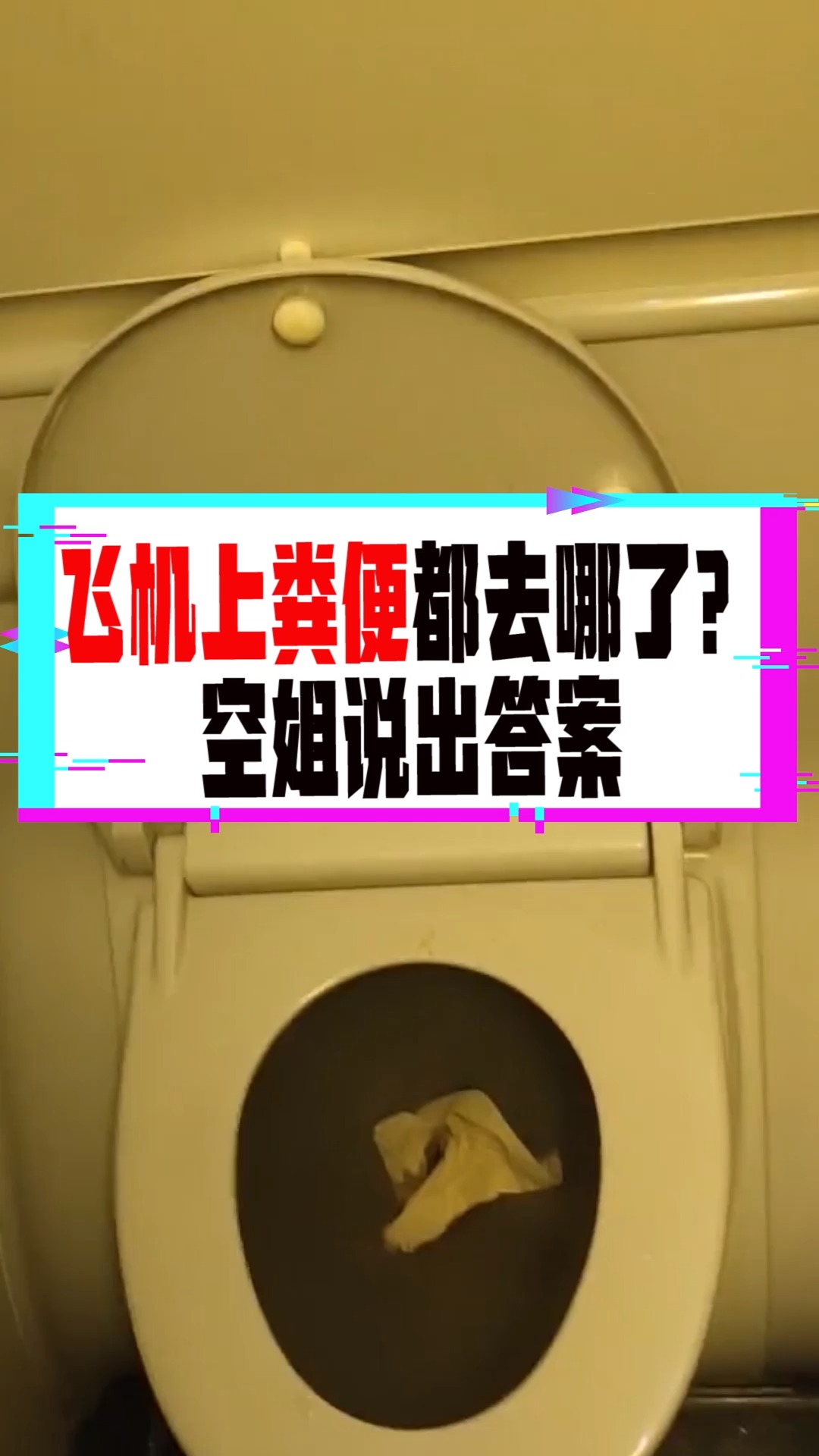奇闻趣事抢先看#飞机卫生间的粪便都去哪里了?