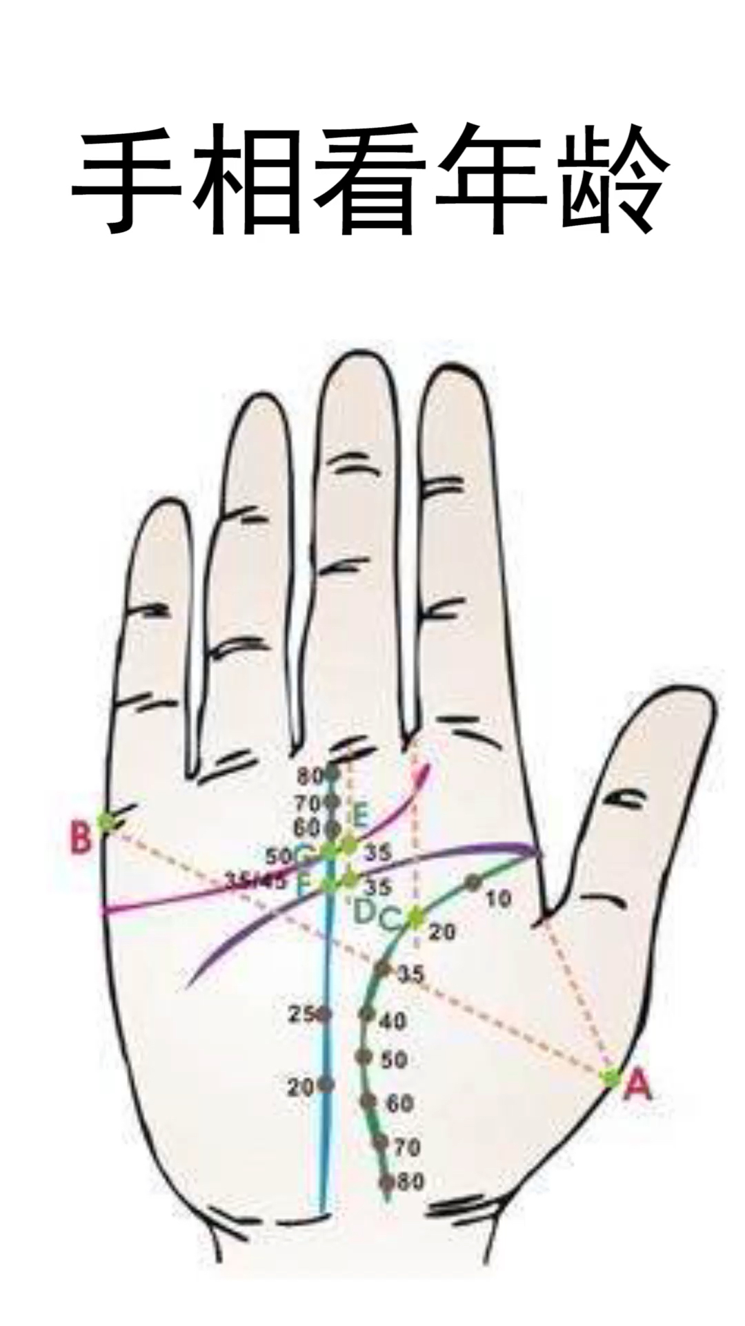 佛系生活#手相看年龄