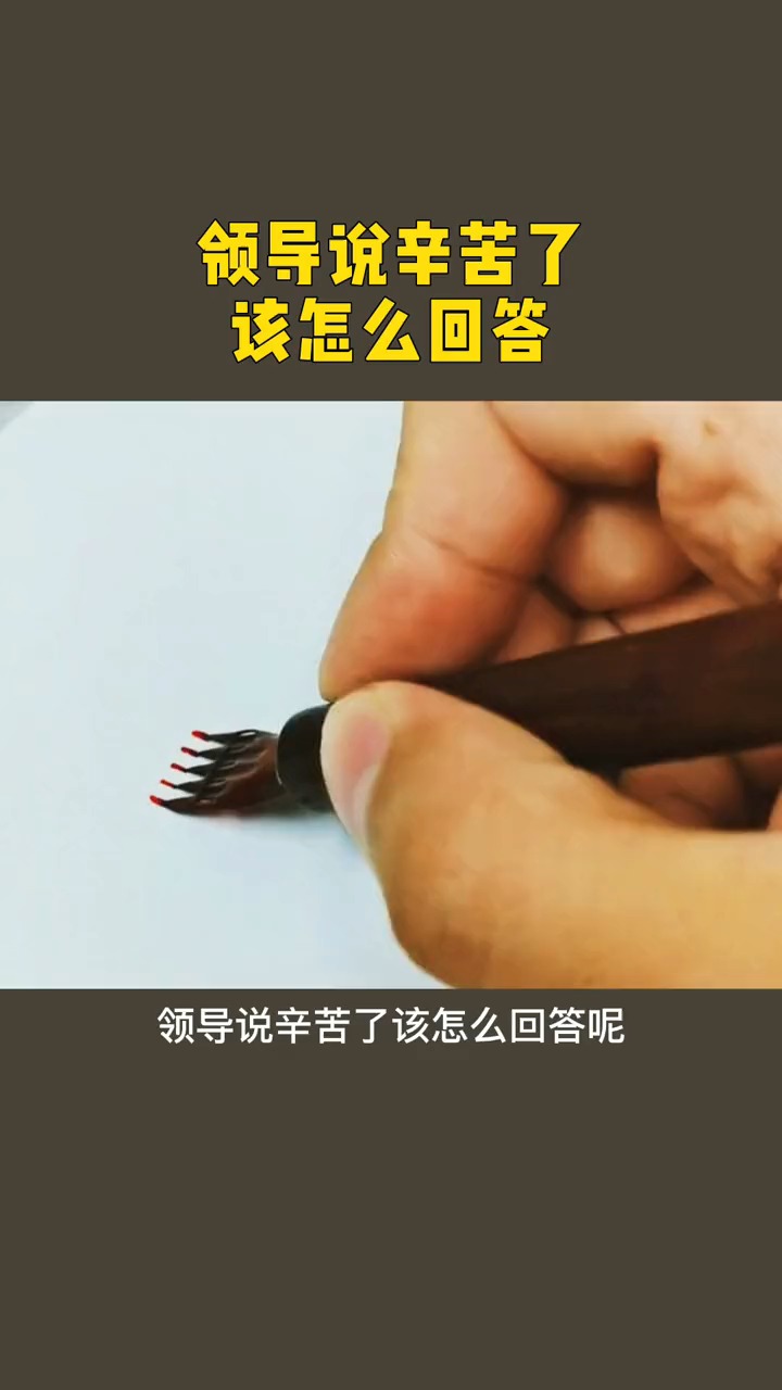 领导说辛苦了,你是都怎么回答呢?-度小视