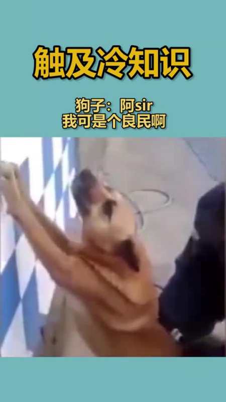 搞笑段子剧狗子阿sir,我可是个良民啊