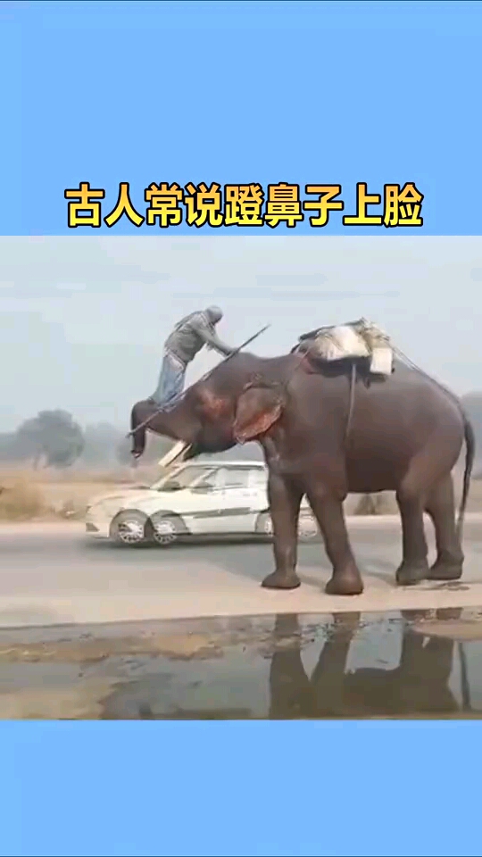 古人常说蹬鼻子上脸,如今总算见识到了