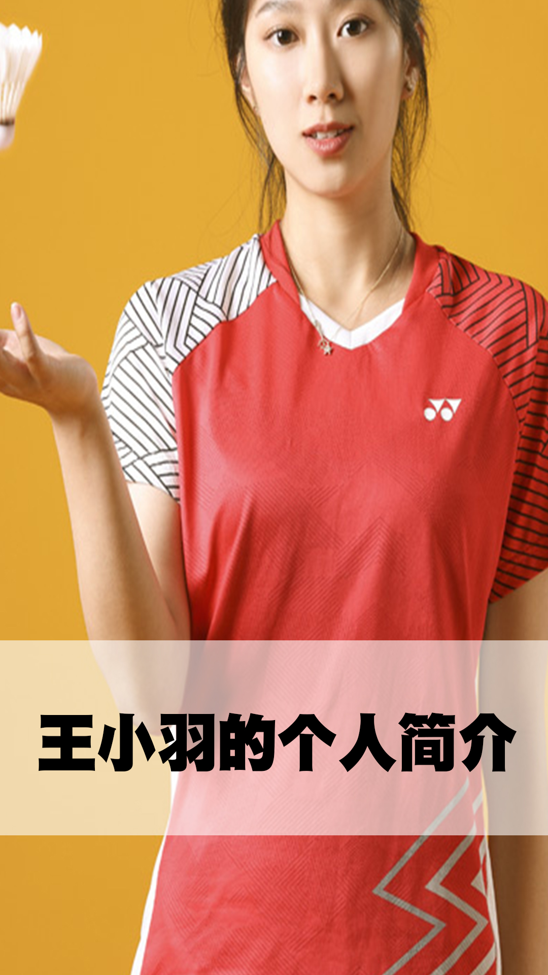 王小羽的个人简介