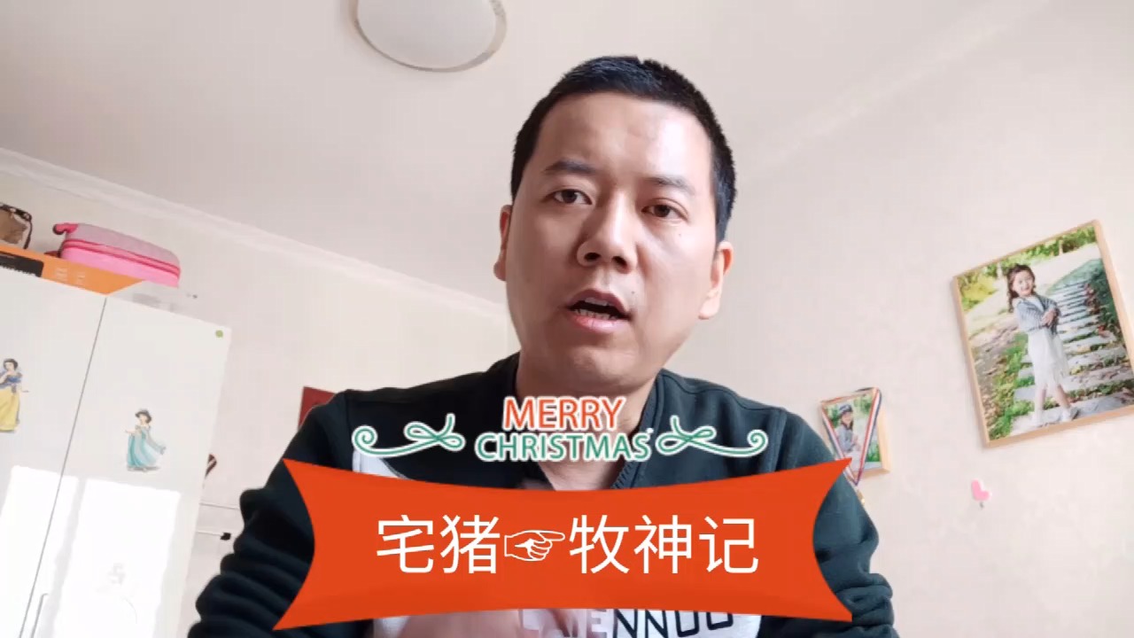 大神系列——宅猪《牧神记》