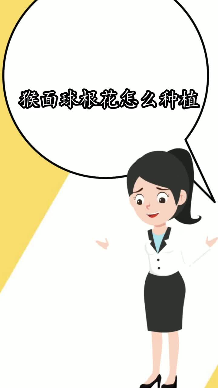 猴面球根花怎么种植你了解了吗
