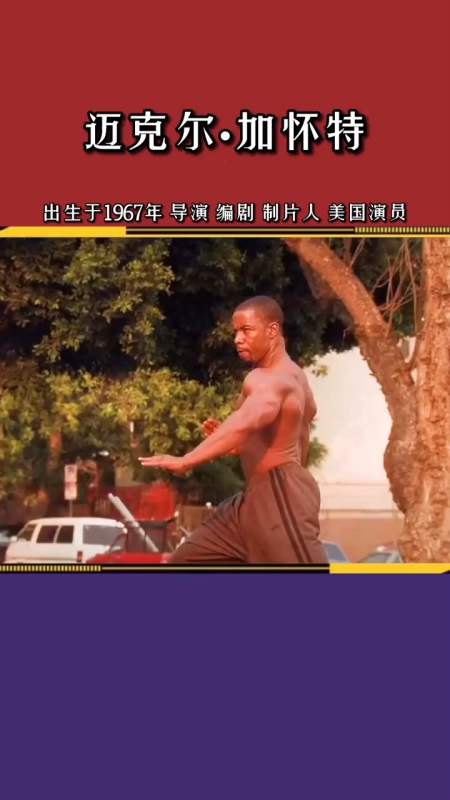 唯一一个能d断博伊卡腿的男人功夫迈克尔加怀特实力派演员