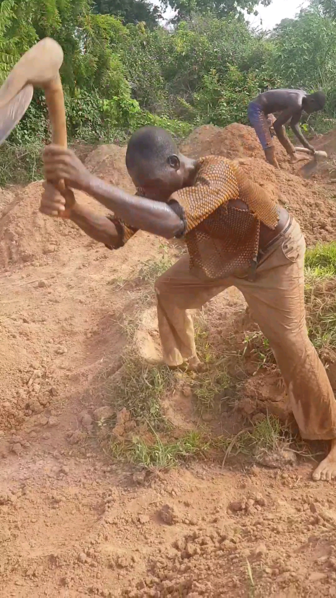 雨季要来了,非洲兄弟在刨地!