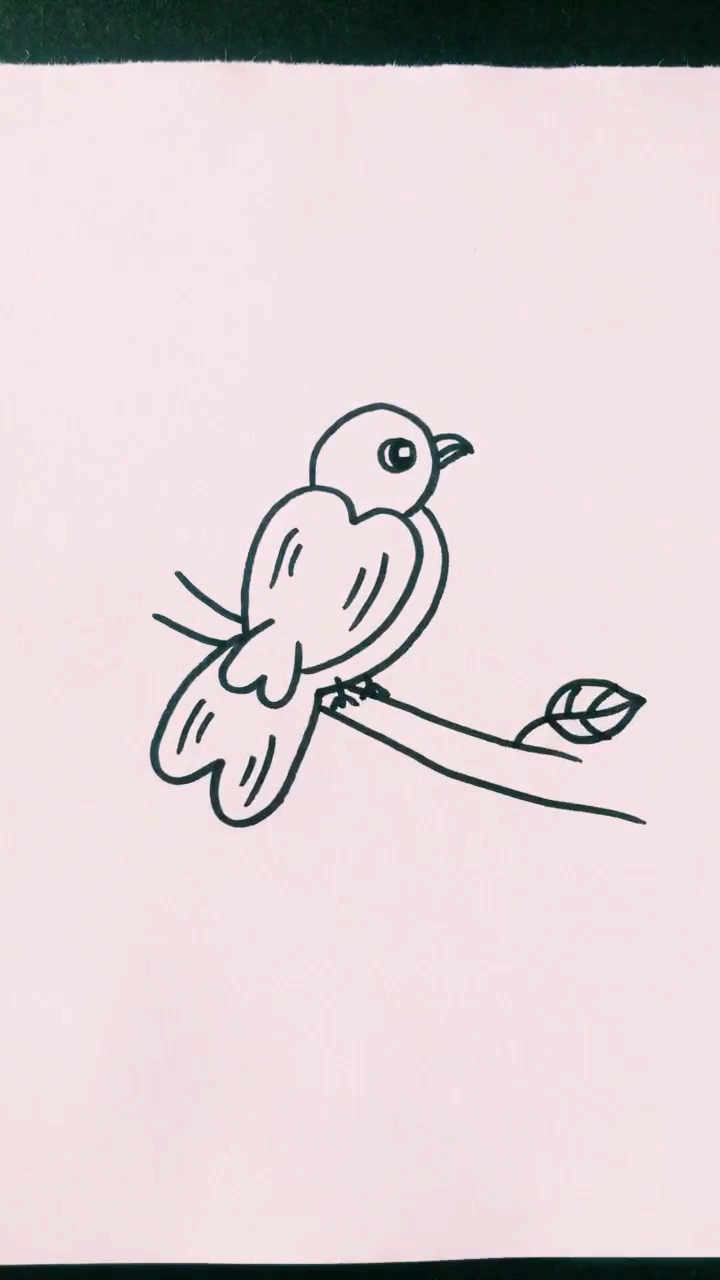 #简笔画#简单小鸟
