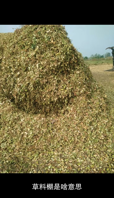 草料棚就是用来喂马的地方嘛