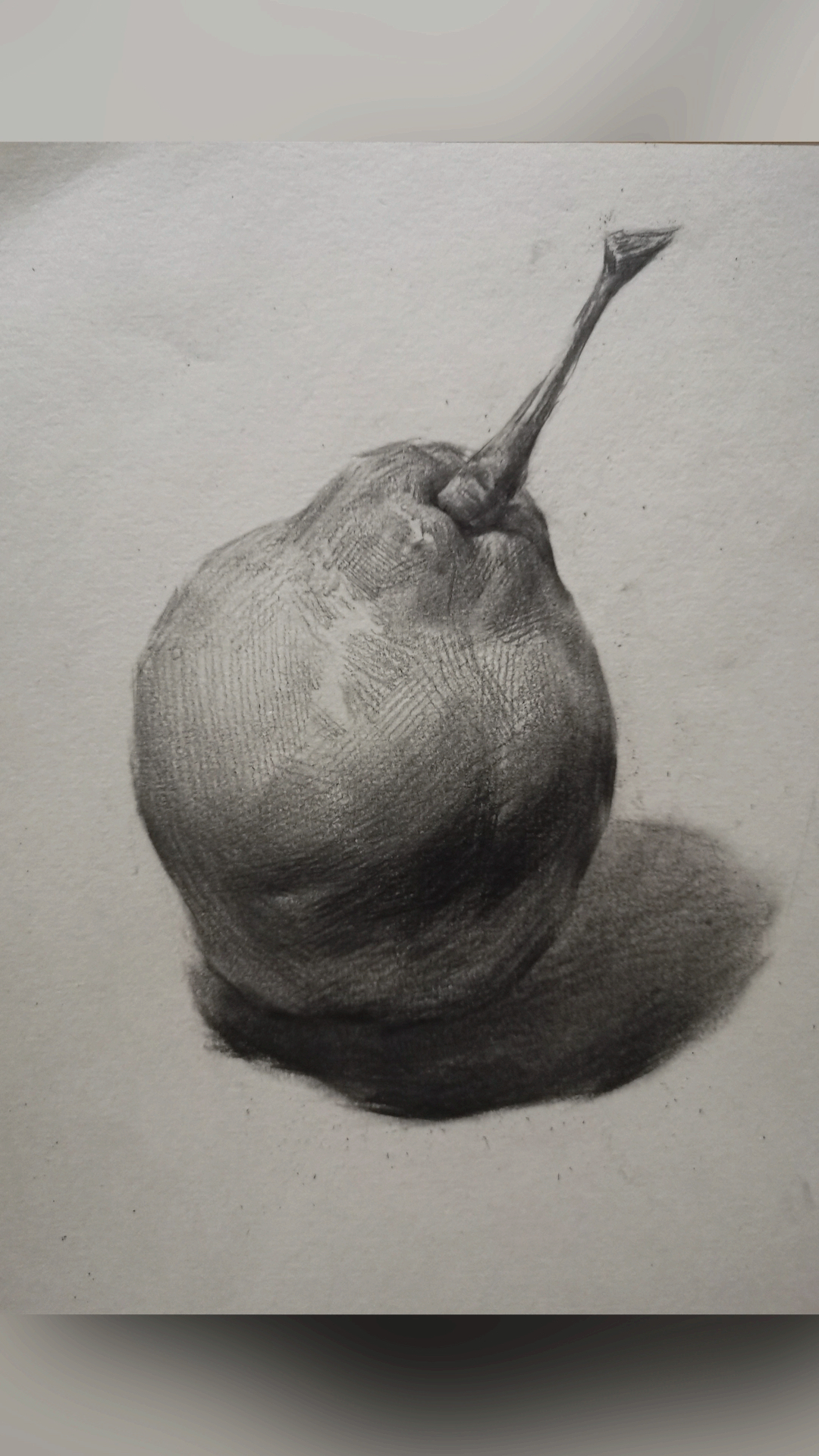 美术生#素描静物-梨