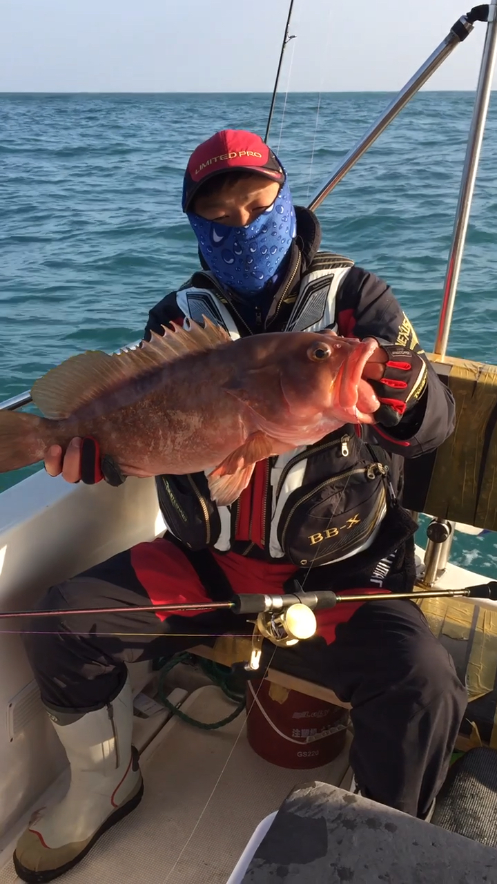 东海大石班,昨天钓的