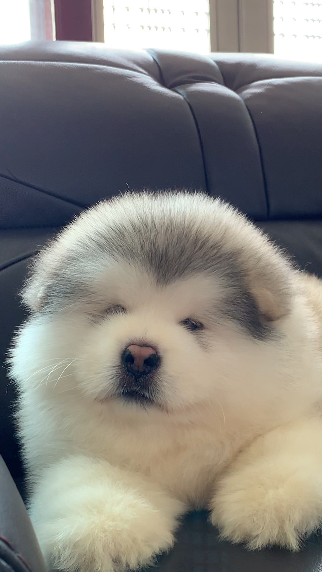 可爱到爆了#迷人的小眼睛