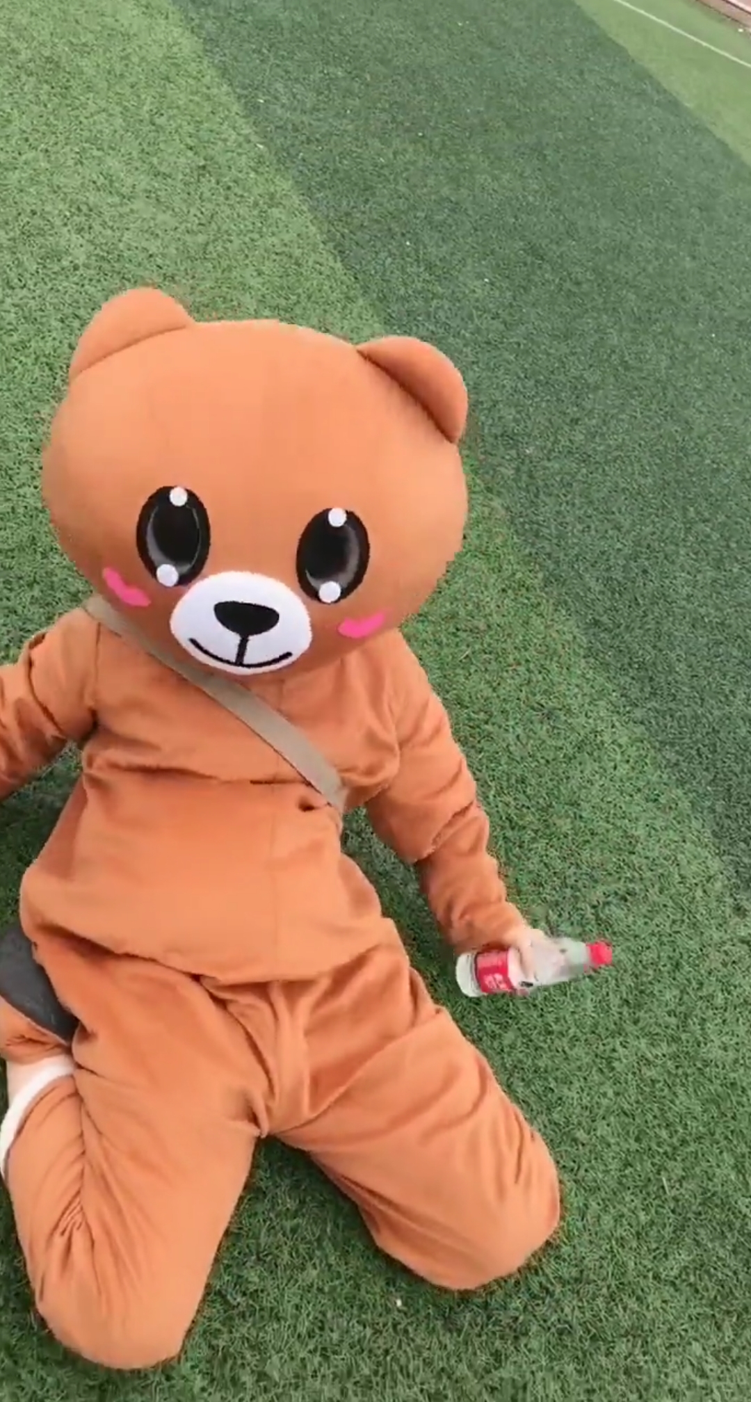 小熊跳的舞,小姐姐为什么不看?