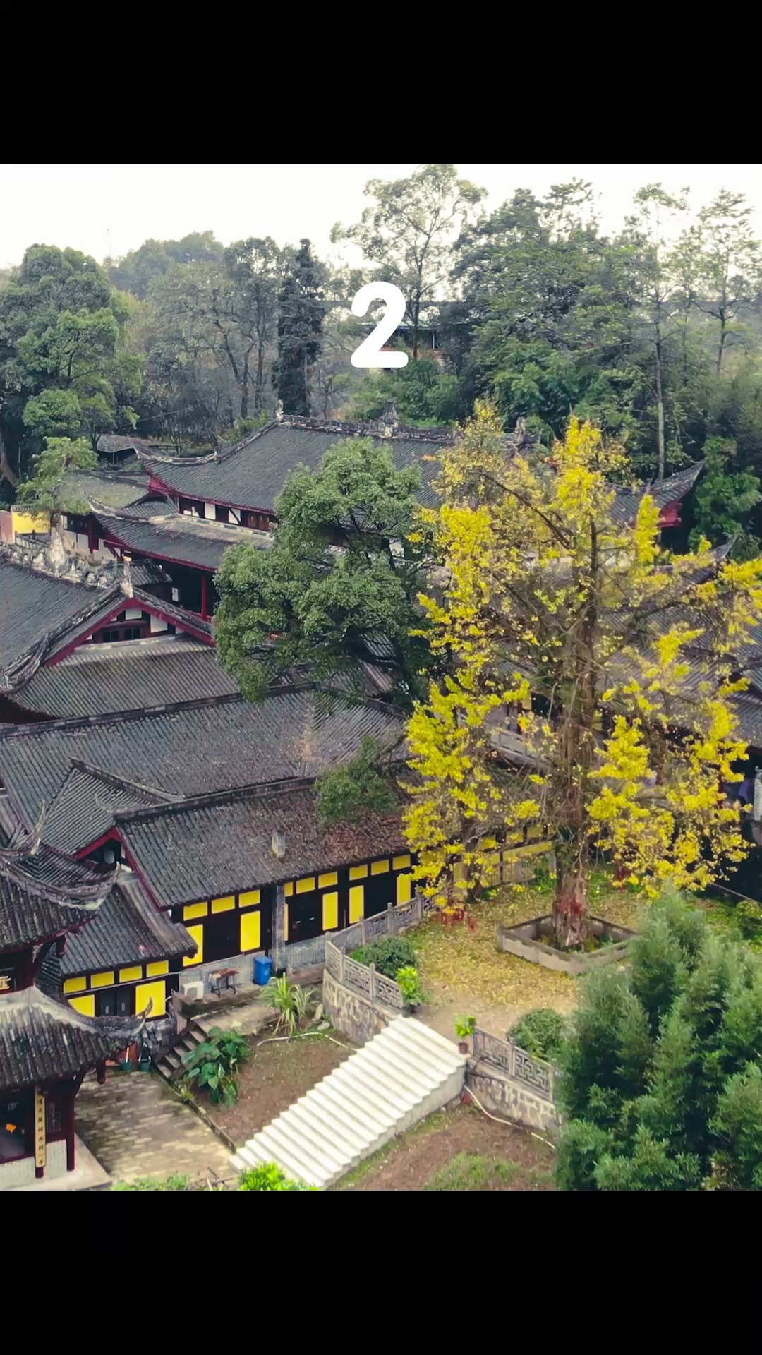 重庆最美寺庙·巴南天心寺 千年古银杏 旅行攻略 重庆旅游 最美寺庙