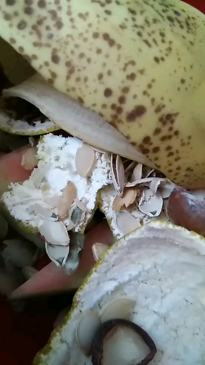 舌尖上的乡村美食#这些果皮垃圾如何才能变废为宝呢?