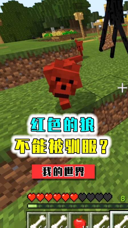 我的世界#mc中只能用指令召唤的狼,因为独特不能被驯服?-度小视