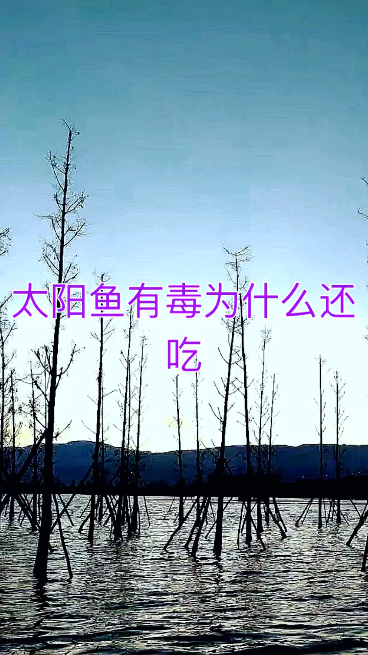 我來告訴你太陽魚有毒為什麼還吃