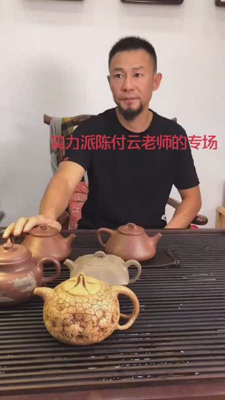 原矿紫砂紫砂壶实力派陈付云老师的专场品茶品人生人生如茶