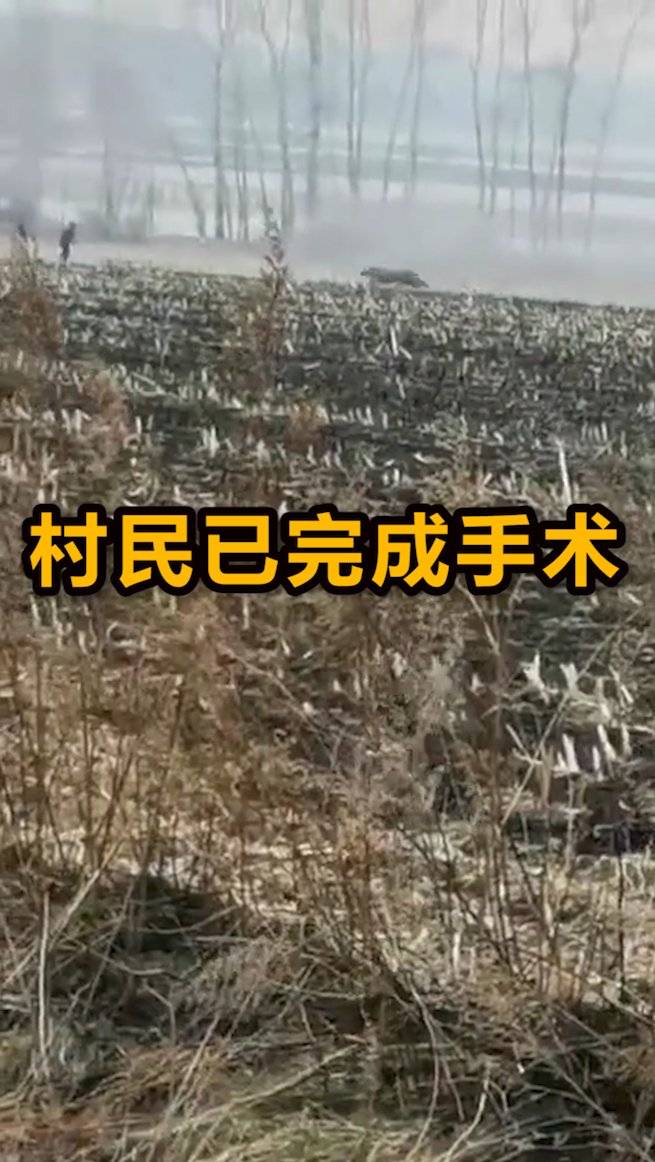 东北虎下山进村#野生东北虎进村伤人,保命伤虎要负法律责任吗?