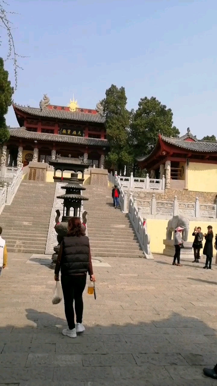 莲花山大雄宝殿图片