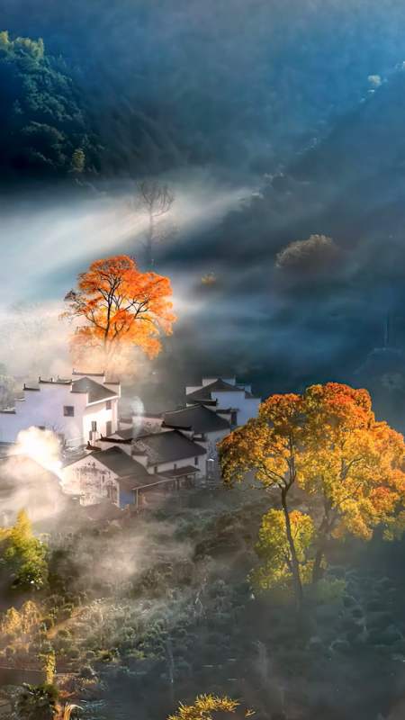 农村的早上是宁静淡雅的,没有那种喧闹气息