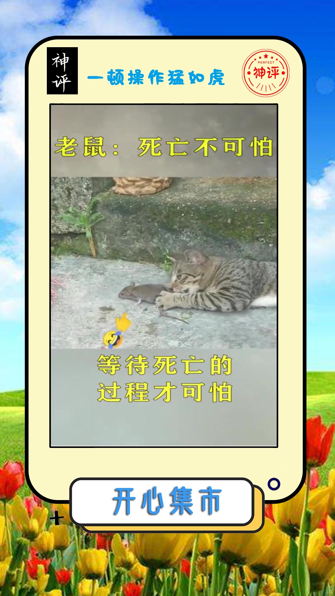 我要上热门#老鼠:死亡不可怕,等待死亡的过程才可怕,我已经放弃了