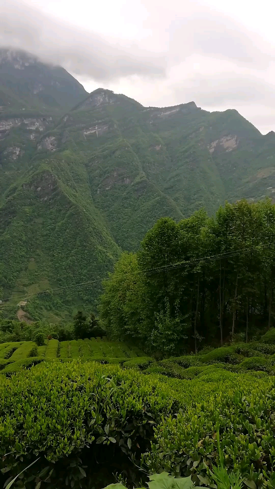 湖北五峰山,放眼看有六个狮子头