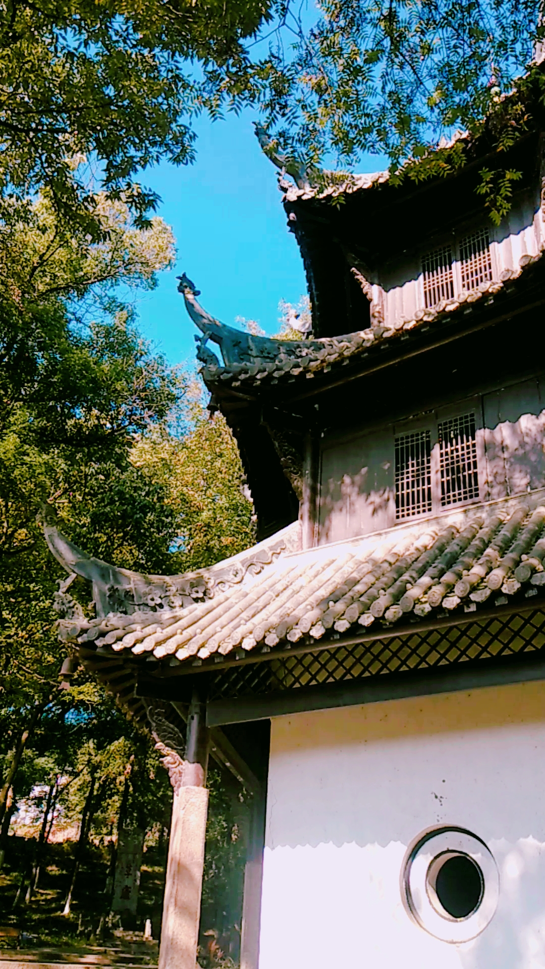 最美的风景#襄阳古隆中风景区:抱膝亭