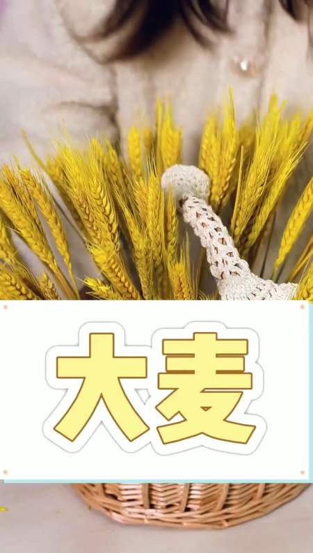 五谷丰登每束花都有自己的花语大麦花语寓意大麦麦穗象征着丰收适合