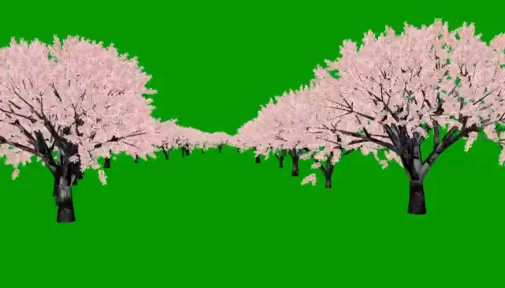 粉红树林绿幕视频素材
