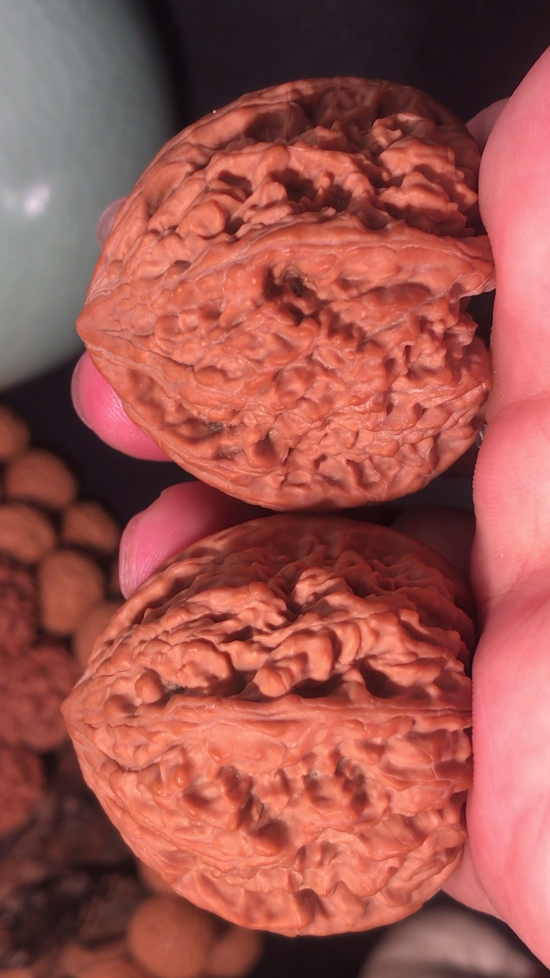 文玩核桃#纯野生小众稀有龙脊狮子头-度小视