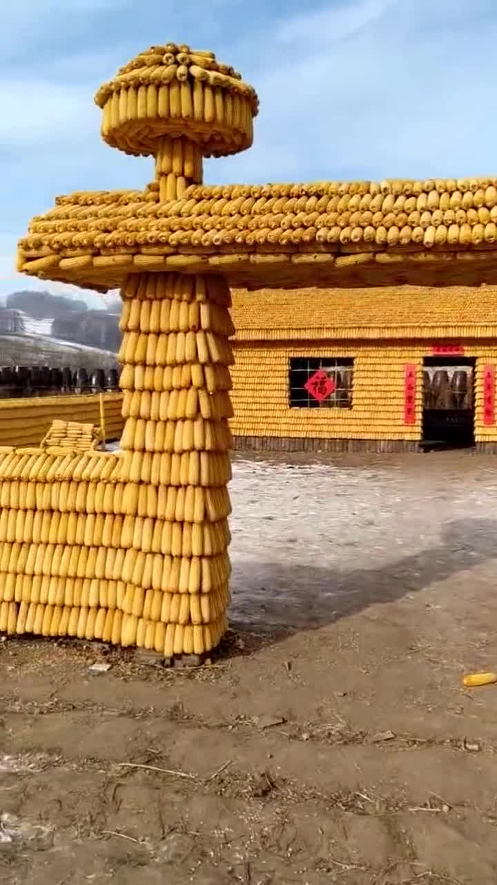 玉米盖房子脑子是个好东西每天慕名而来的游客特别多