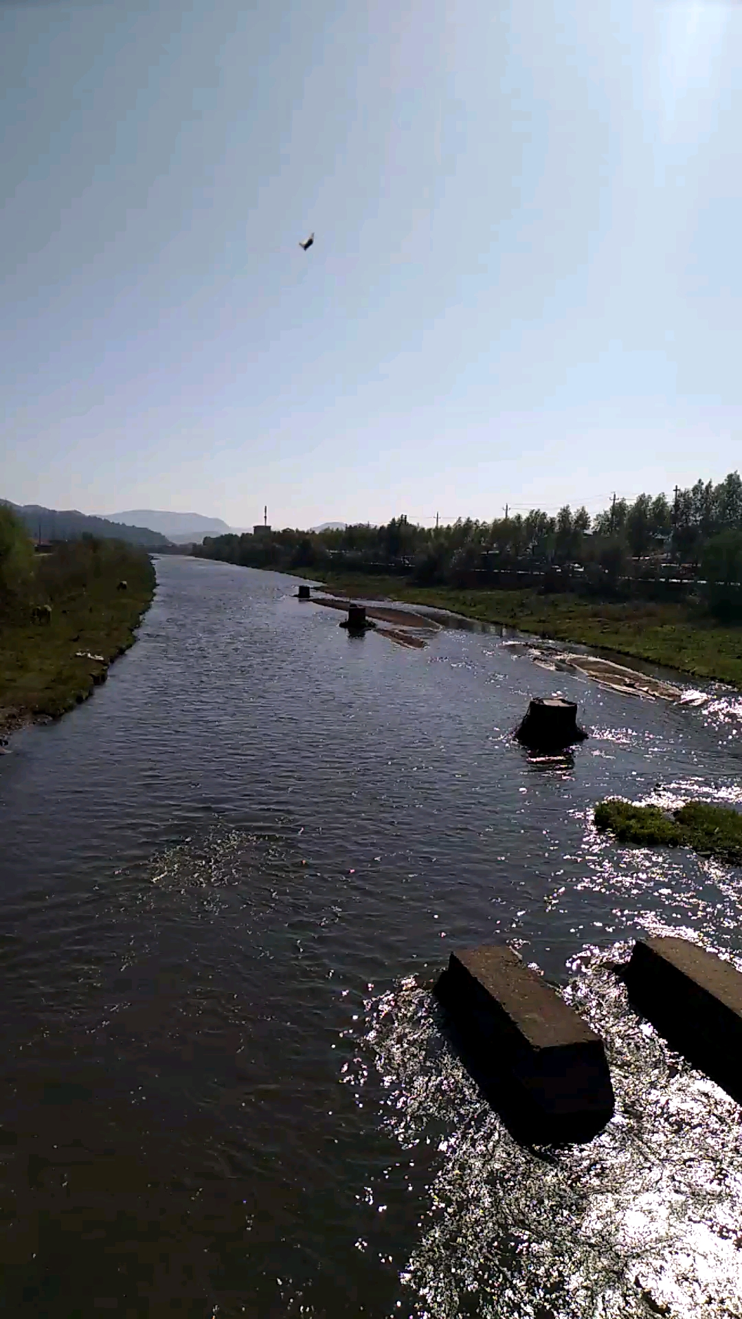 乡村生活#秋天的苏子河