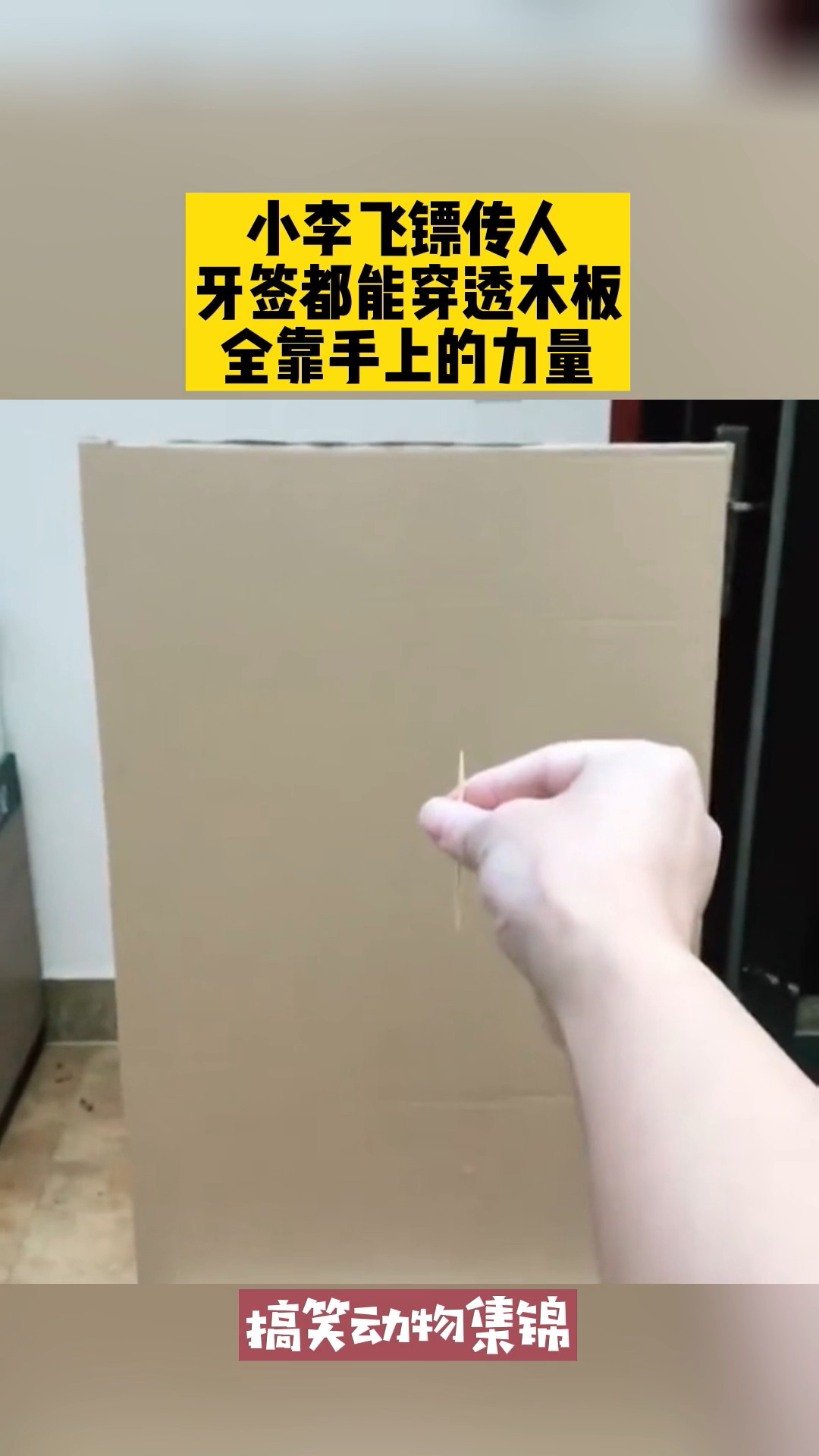 我要上热门#小李飞镖传人,牙签都能穿透木板,全靠手上的力量